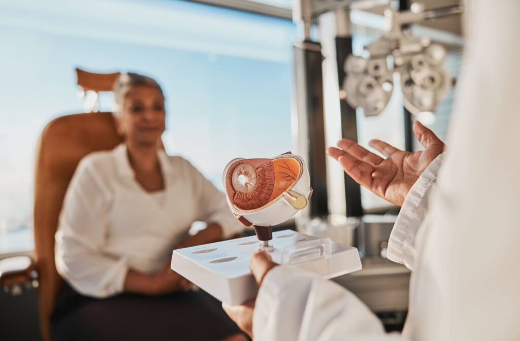 An optometrist uses a model to explain to a patient how dry eye symptoms are impacted by meibomian glands.