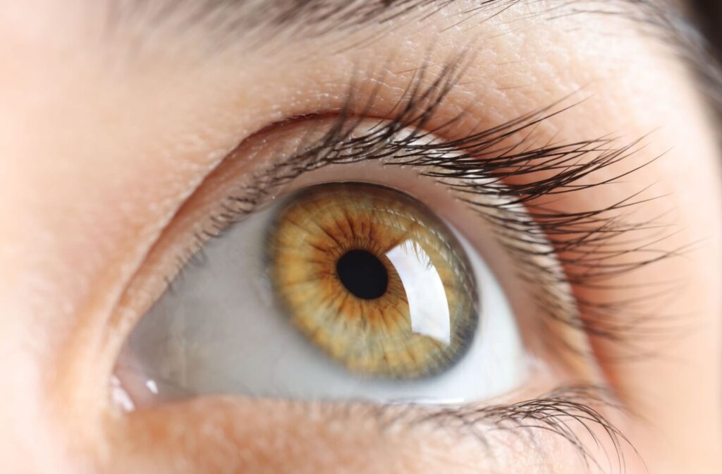 Close-up of a person's eye with long eyelashes.
